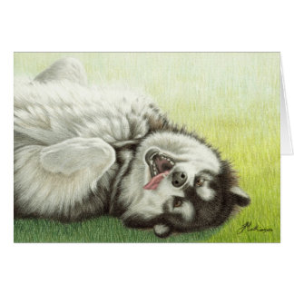 Rollen des alaskischen Malamute