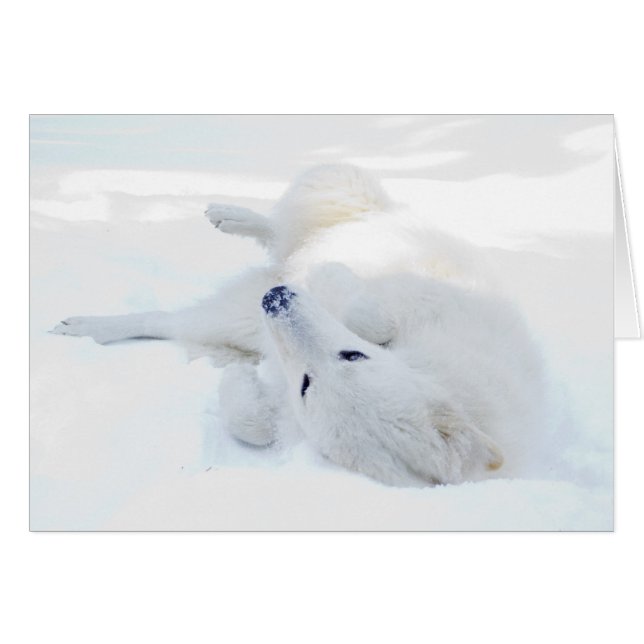 Rollen im Schnee (Vorderseite (Horizontal))