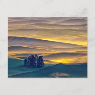 Rollende Weizenberge bei Sonnenaufgang WA Postkarte