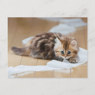 Rollenkitt Postkarte