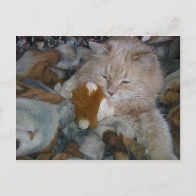 Rollenmodell Postkarte (Vorderseite)