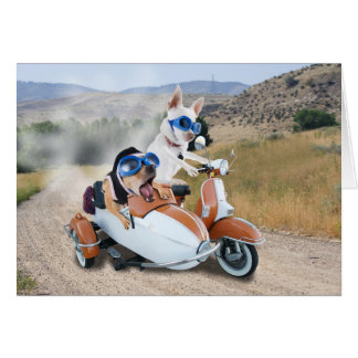 Roller-Fahrt