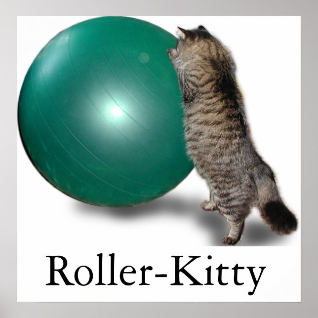Roller-Kitty Poster (Vorne)