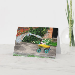 Roller Skate Mayhem Karte