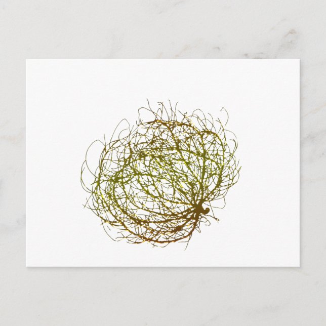 Rolling Golden Tumbleweed Pflanze Art Postkarte (Vorderseite)