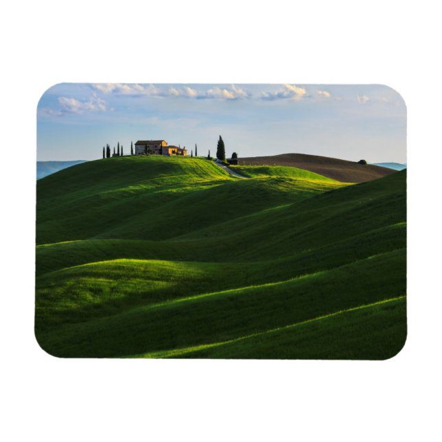 Rolling Hill in der Nähe von Asciano, Toskana Magnet (Horizontal)