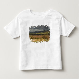 Rolling Hills und Berge unter einem bewölkten Kleinkind T-shirt