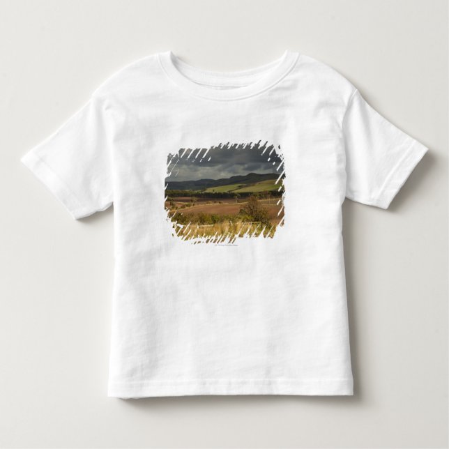 Rolling Hills und Berge unter einem bewölkten Kleinkind T-shirt (Vorderseite)