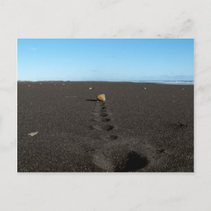 Rolling Stone am Strand Postkarte