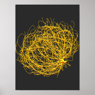 RollinGolden Tumbleweed Pflanze Originale Kunst Poster