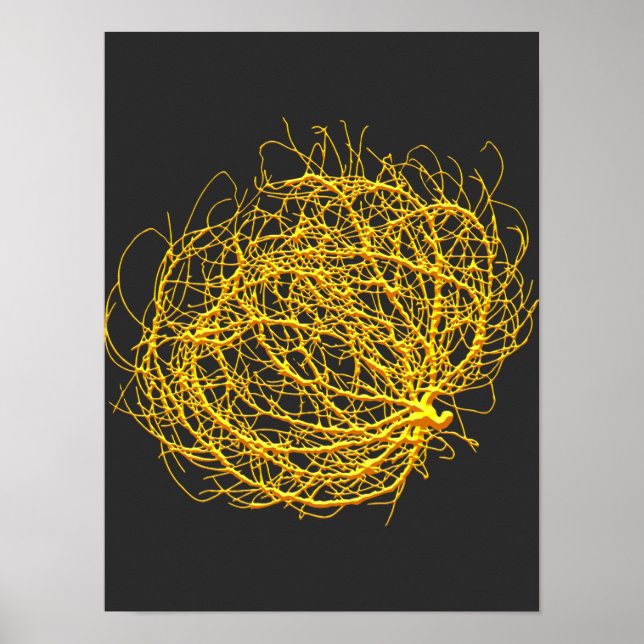 RollinGolden Tumbleweed Pflanze Originale Kunst Poster (Vorne)
