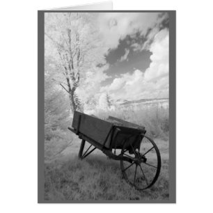 Rollkarren und Landschaft Neuenglands