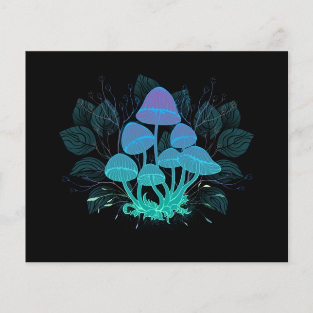 Rollstühle in Bushes Flyer (Vorne)