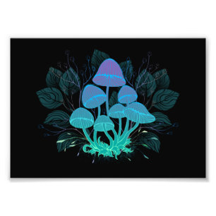 Rollstühle in Bushes Fotodruck