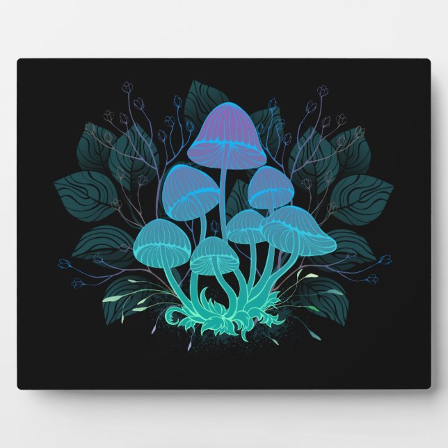 Rollstühle in Bushes Fotoplatte (Vorderseite)