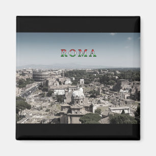 Rom #01M Magnet