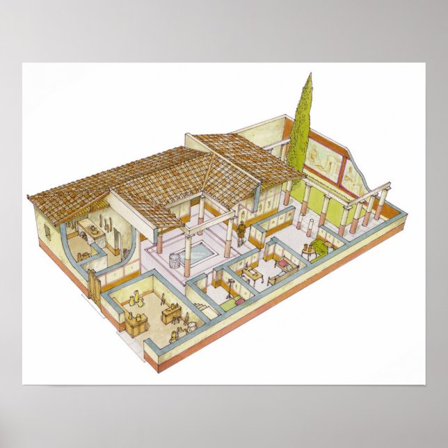 Rom. Domus Poster (Vorne)