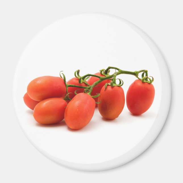 Roma Tomato Magnet (Vorne)