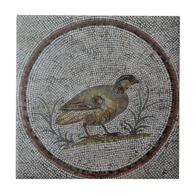 Roman Mosaics Keramik Tile, Small (4,25" x 4,25") Fliese (Vorderseite)
