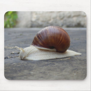 Roman Snail Mouse Mat Mousepad