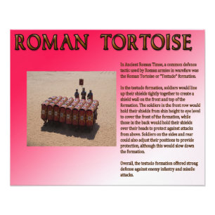 Roman Tortoise Fotodruck