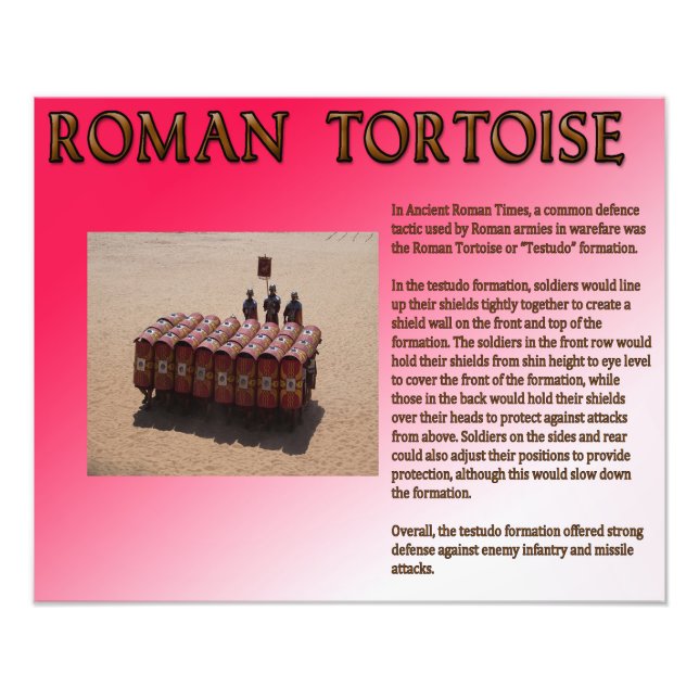 Roman Tortoise Fotodruck (Vorne)