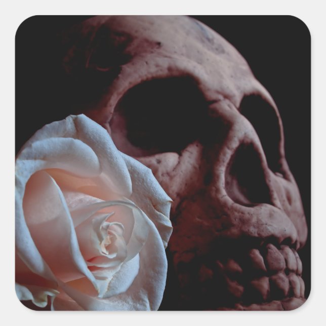 Romance - Skull and Peach Rose Quadratischer Aufkleber (Vorderseite)