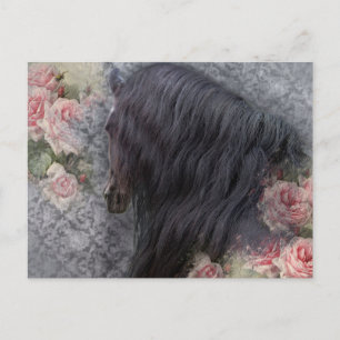 Romancing The Horse ~ Postcard Postkarte