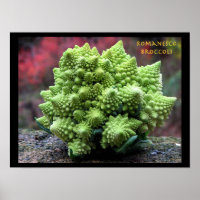 Romanesco Broccoli Gemüse