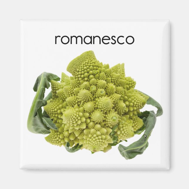 Romanesco Kühlschrank Magnet (Vorne)