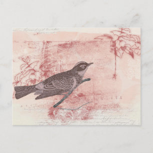 Romantic Bird Drawing Grunge Letter Love Postkarte