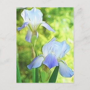 Romantic Blue Irises Postkarte