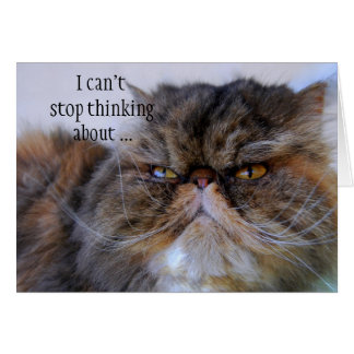 Romantic Calico Persian Kitcard