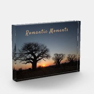 Romantic Momente Sunset Sacred Baobabs, Foto von