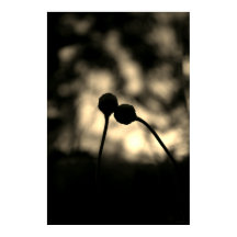 Romantic Moody Flowers – Botanical Fantasy Boho