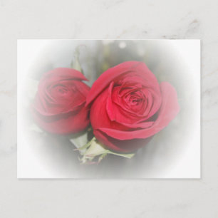 Romantic Soft Red Roses Postkarte