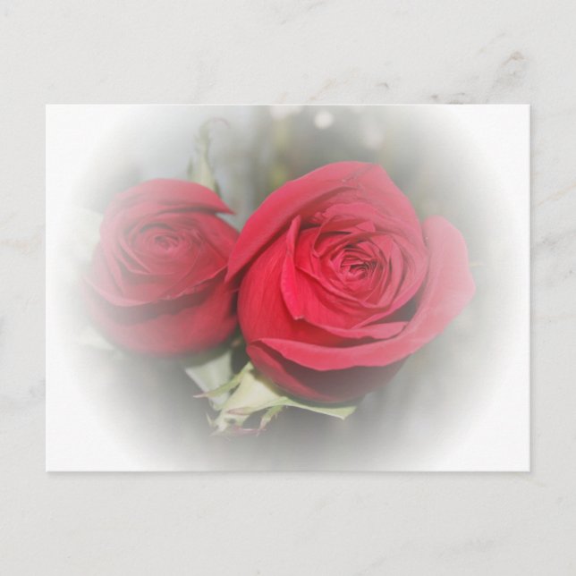 Romantic Soft Red Roses Postkarte (Vorderseite)