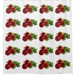 Romantik der Rose Duschvorhang