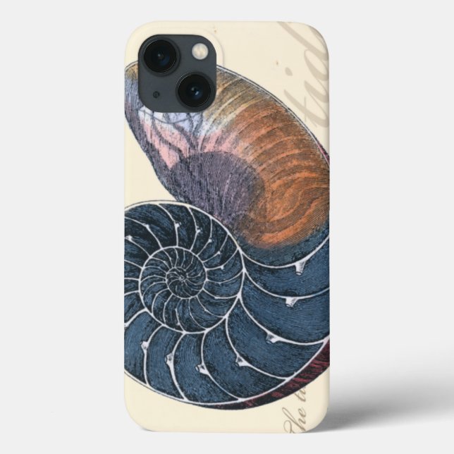 Romantik Seashell Case-Mate iPhone Hülle (Rückseite)