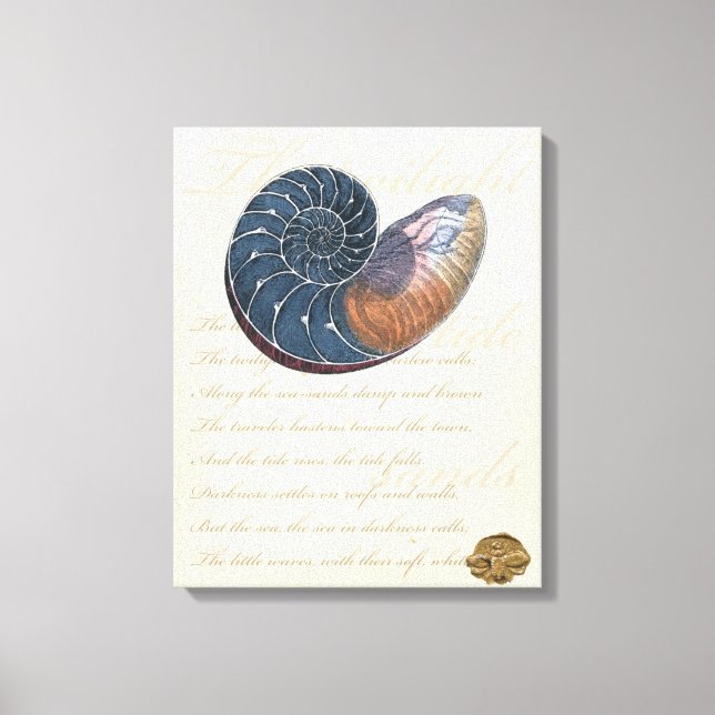 Romantik Seashell Leinwanddruck (Vorderseite)