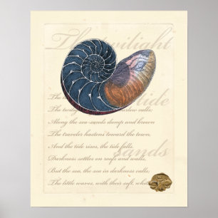Romantik Seashell Poster