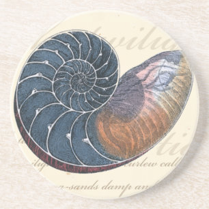 Romantik Seashell Sandstein Untersetzer