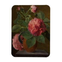 Romantische Alte Englische Rose