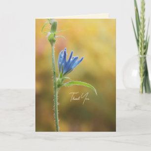 Romantische Bäume & Blumen – Botanische Fantasy Bo