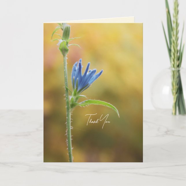 Romantische Bäume & Blumen – Botanische Fantasy Bo (Vorderseite)