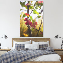 Romantische Bäume & Blumen – Botanische Fantasy Bo