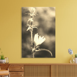 Romantische Bäume & Blumen – Botanische Fantasy Bo Leinwanddruck