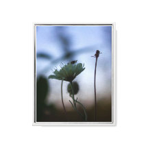 Romantische Bäume und Blumen – Botanische Fantasy