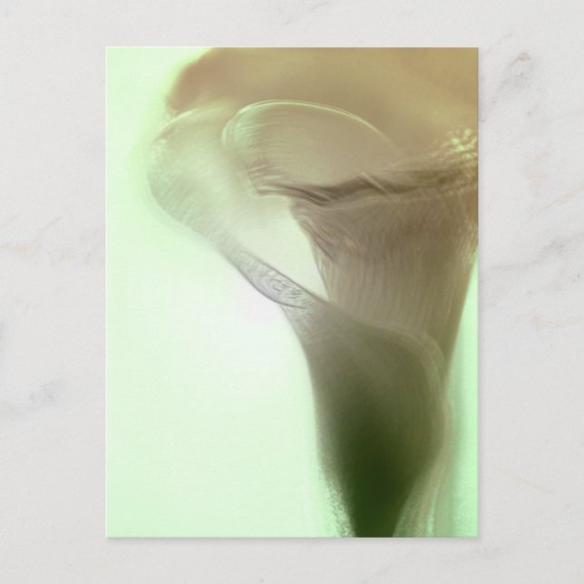 Romantische Blume Postkarte (Vorderseite)