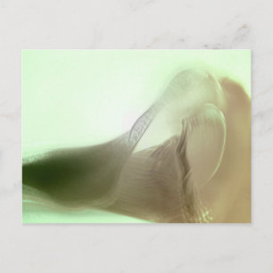 Romantische Blume Postkarte